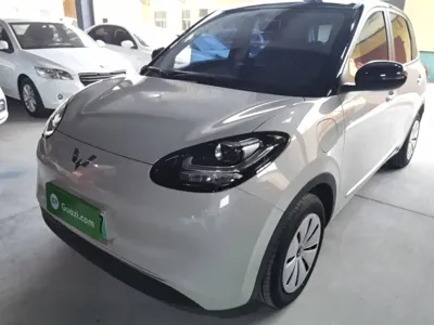Wuling Bingo