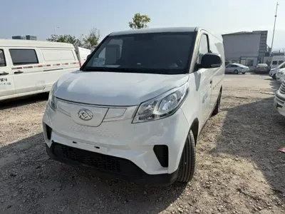 大通 EV30
