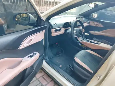 BYD Seagull