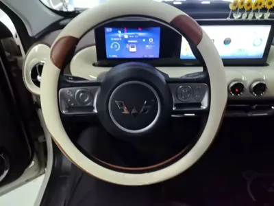 Wuling Bingo