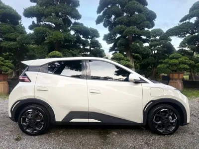 BYD Seagull