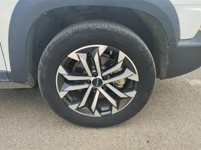 Haval Big Dog