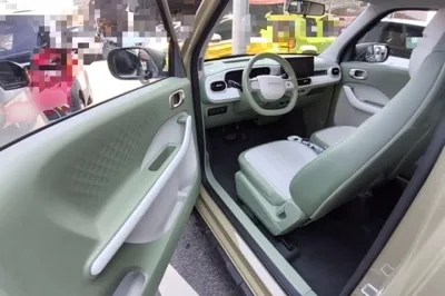 Geely Galaxy Panda