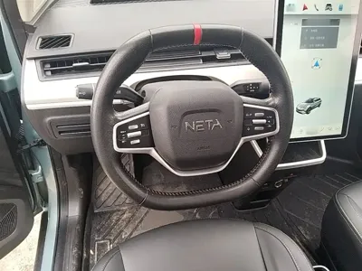 NETA Neta V