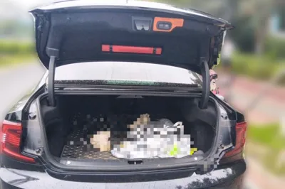 Volvo S90 New Energy