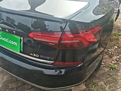 Volkswagen Passat New Energy