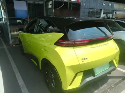 BYD Seagull