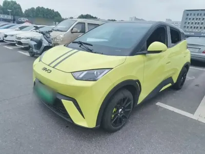 BYD Seagull