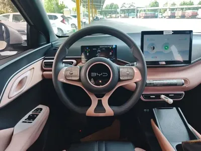 BYD Seagull