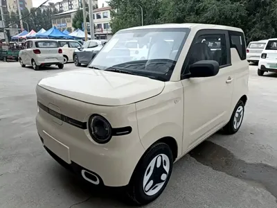 Galaxy Panda