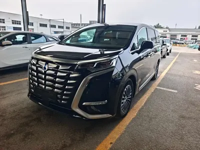 Denza Denza D9
