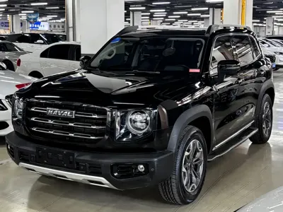 Haval Big Dog