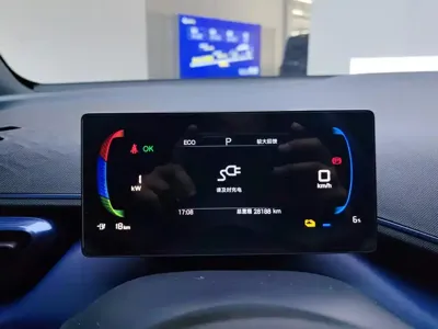 BYD Seagull