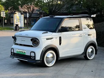 Galaxy Panda