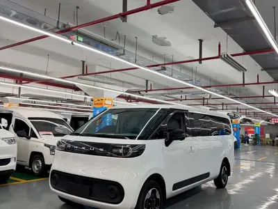 Maxus 大拿M1