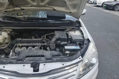 Hyundai Celesta