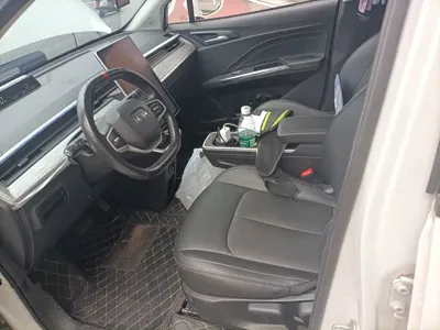 NETA Neta V