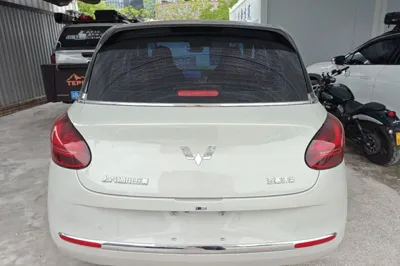 Wuling Bingo