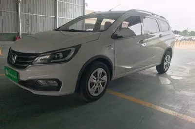 Baojun 310W