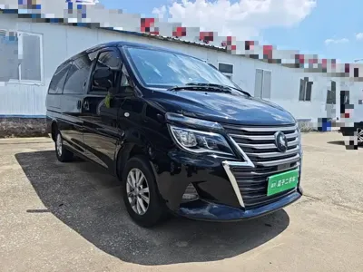 Fengxing Lingzhi