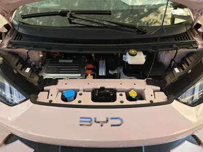 BYD Seagull