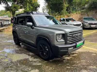 Haval Menglong New Energy