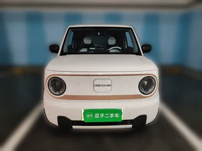 Geely Galaxy Panda