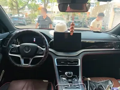 BYD PLUS