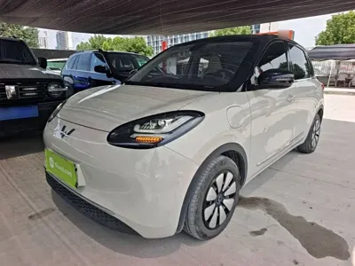 Wuling Bingo