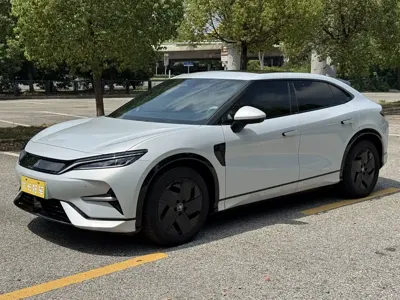 BYD L EV