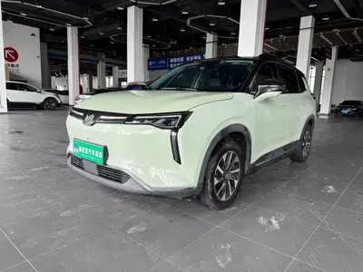 WM Motor W6