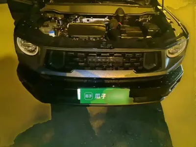 Haval 哈弗大狗 PLUS 新能源
