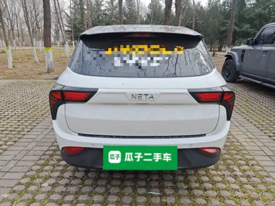 NETA V