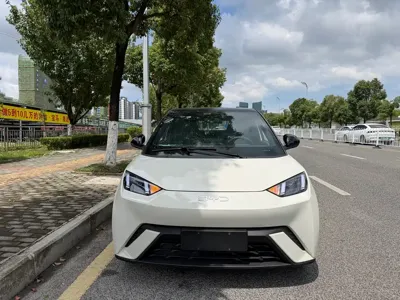 BYD Seagull