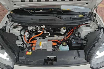 Wuling Bingo