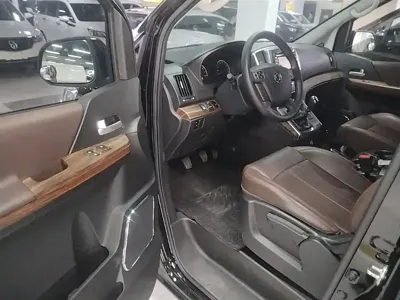 Fengxing Lingzhi PLUS