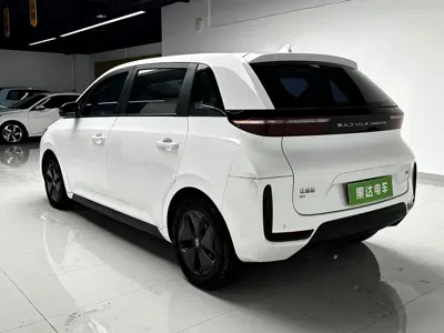 BYD D1