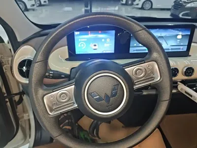 Wuling Bingo