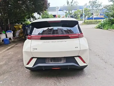 BYD Seagull