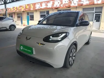 Wuling Bingo