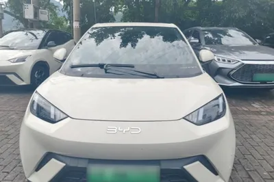BYD Seagull