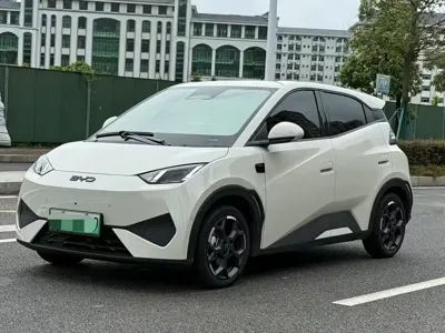BYD Seagull