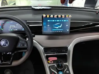 BYD Pro New Energy