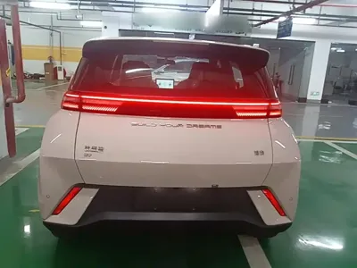 BYD Seagull