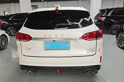 WEY VV6