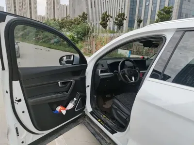 BYD Pro