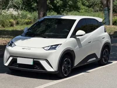 BYD Seagull