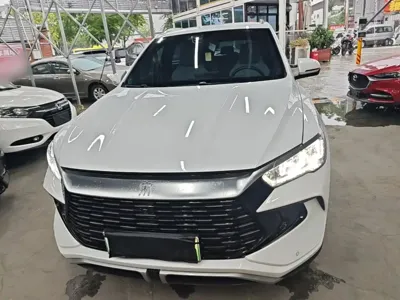BYD Pro New Energy