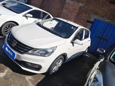 Baojun 310