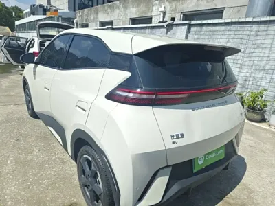 BYD Seagull